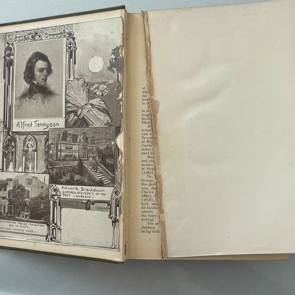Tennyson's Poems Copyright 1885 Thomas Y Crowell - Picture 14 of 16